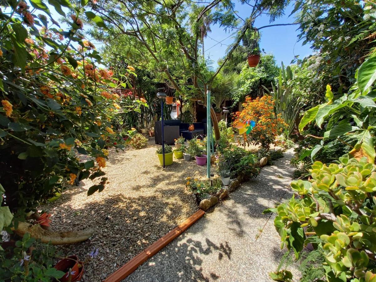 Bed & Breakfast Paui Càbras Esterno foto