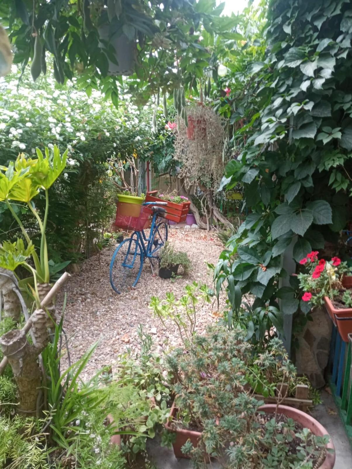 Bed & Breakfast Paui Càbras Esterno foto